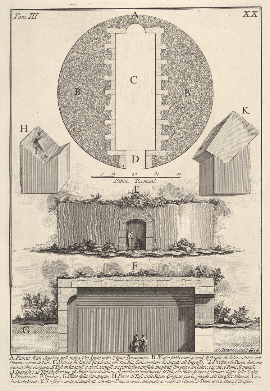 Vigna Buonamici