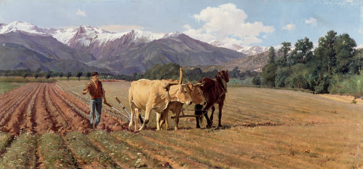 çiftçilik by Giovanni Battista Quadrone