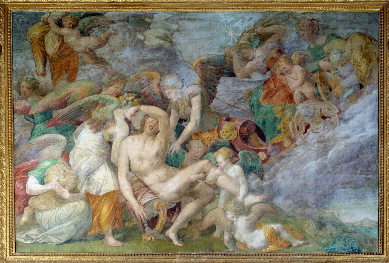 Adonis