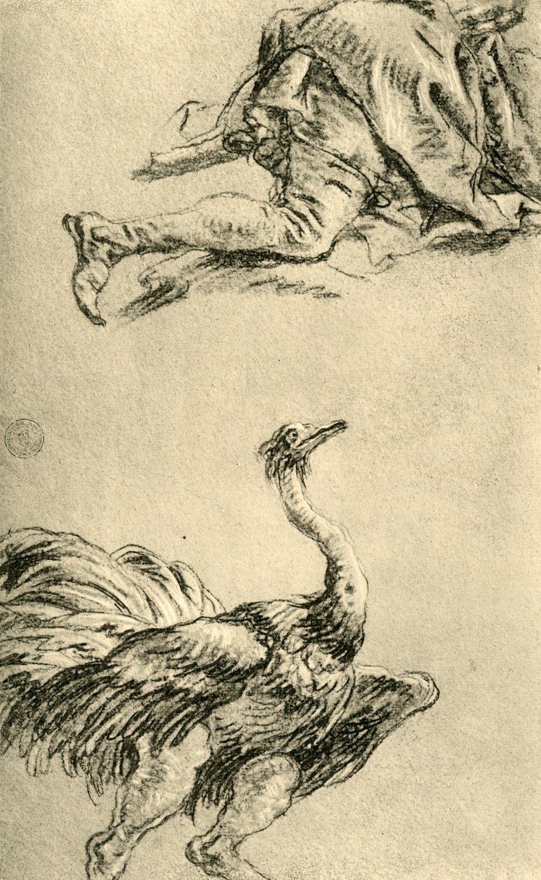 Koşan Devekuşu, 1752-1753, 1928 by Giovanni Battista Tiepolo