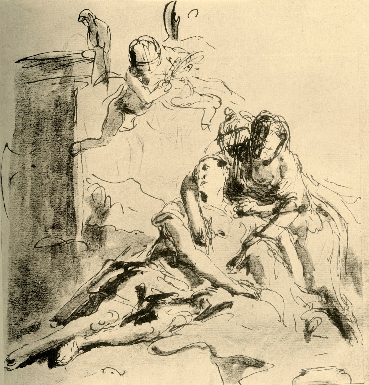 Angelica, Medor