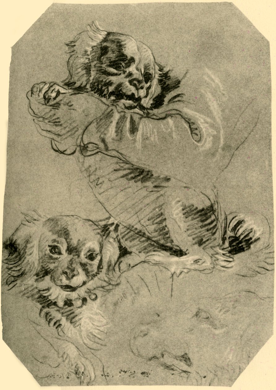 Bologna Köpekleri, 1751-1752, 1928 by Giovanni Battista Tiepolo