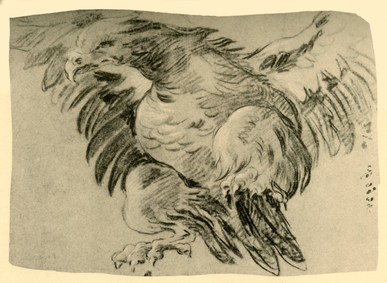 Kartal, 1751-1752, 1928 by Giovanni Battista Tiepolo