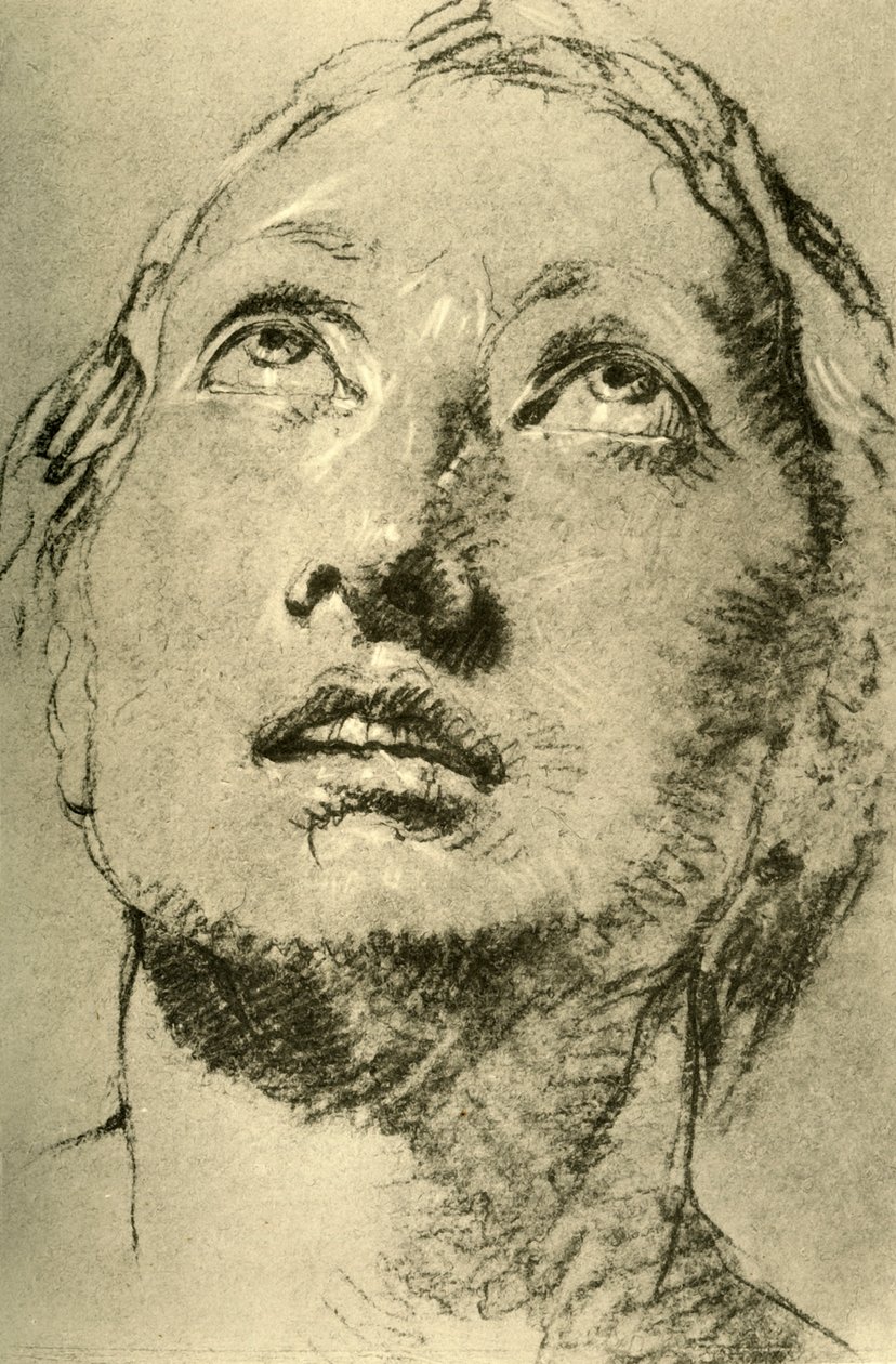 Genç Bir Kadının Başı, yukarıya bakıyor, c1755, 1928 by Giovanni Battista Tiepolo