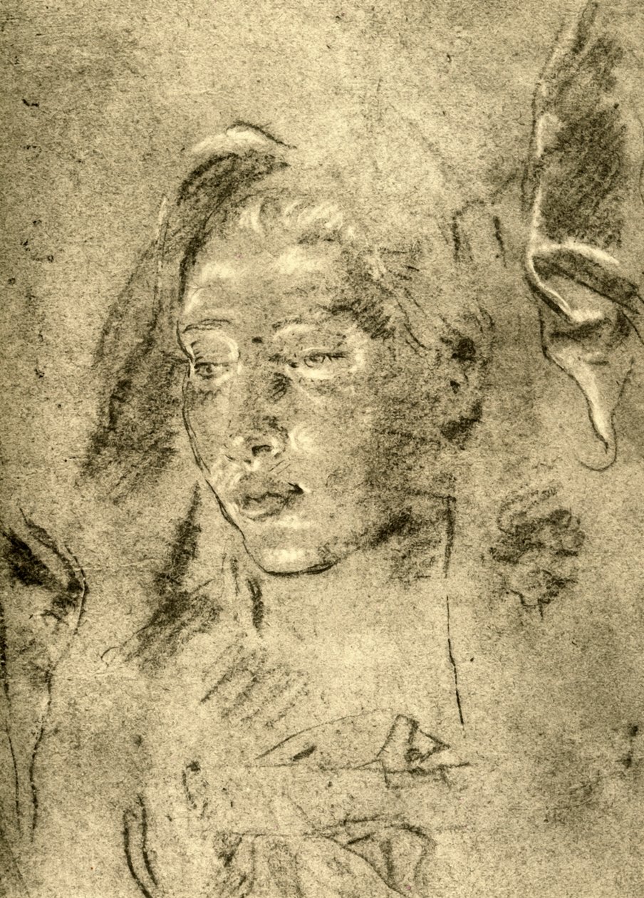 Genç Bir Kadının Başı, 18. yüzyılın ortaları, 1928 by Giovanni Battista Tiepolo