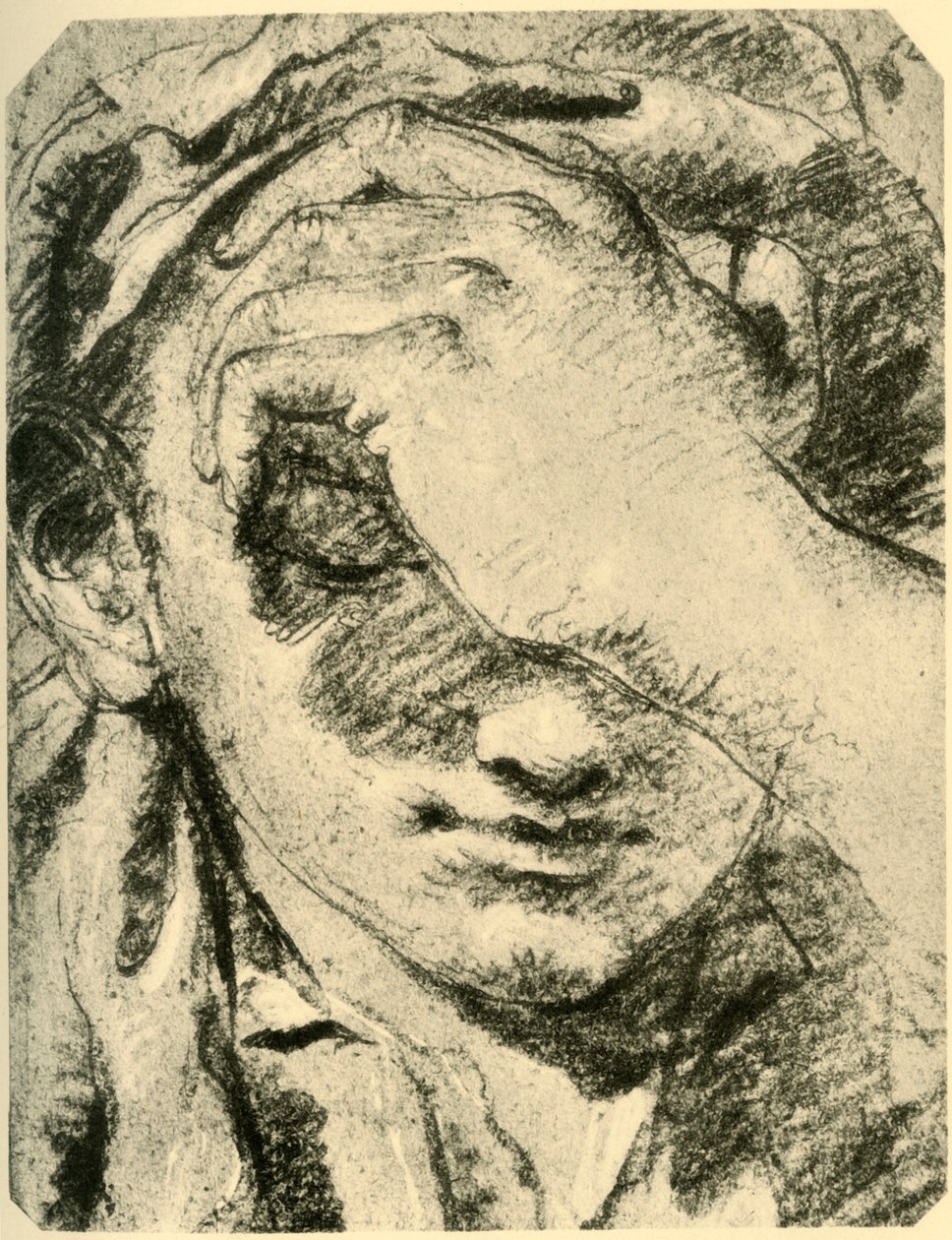Genç Bir Kadının Başı, 18. yüzyılın ortaları, 1928 by Giovanni Battista Tiepolo