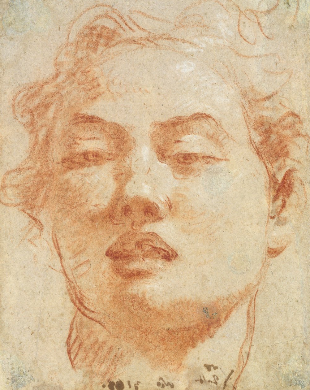 Genç bir adamın başı (kağıt üzerinde kırmızı ve beyaz tebeşir) by Giovanni Battista Tiepolo