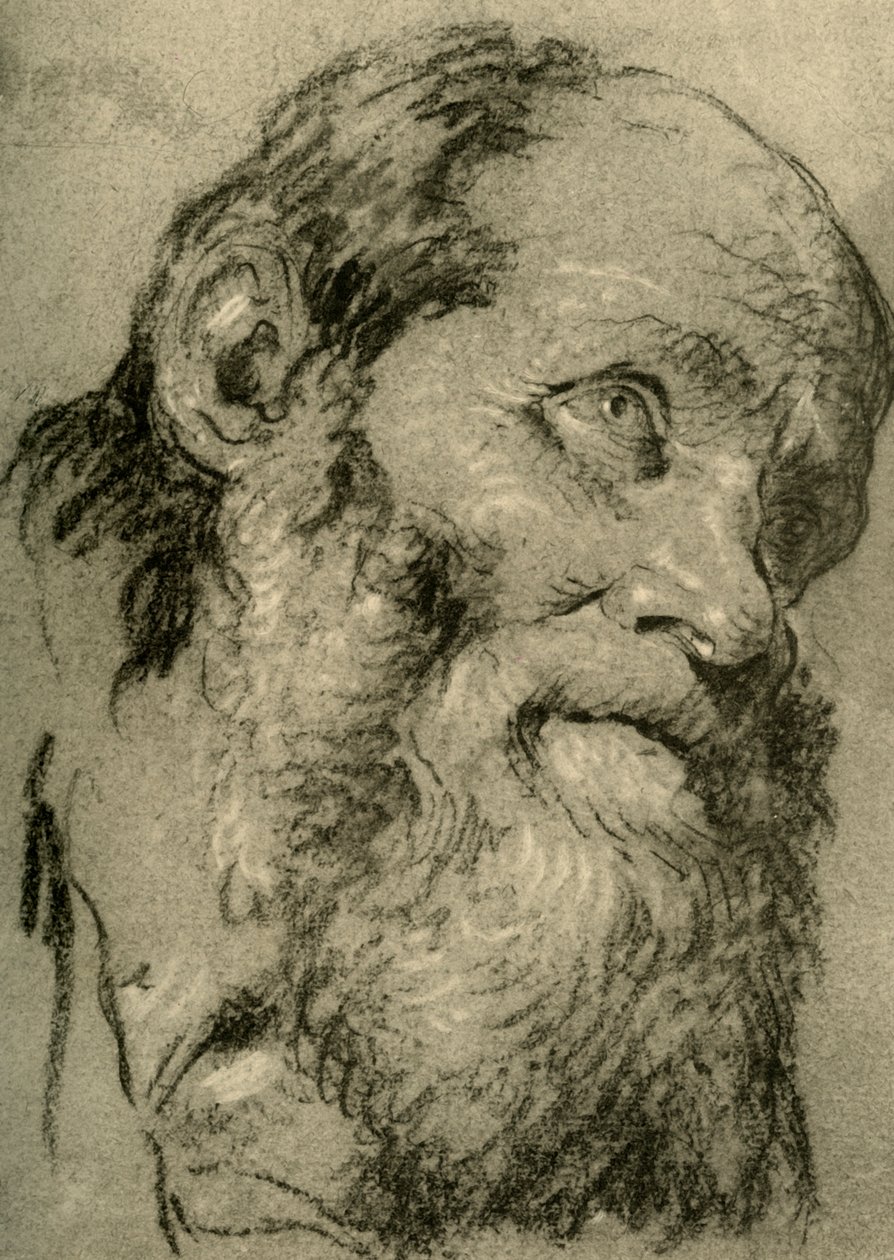 Yaşlı Bir Adamın Başı, c1755, 1928 by Giovanni Battista Tiepolo