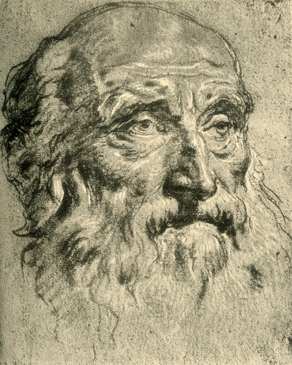 Yaşlı Bir Adamın Başı, 18. yüzyılın ortaları, 1928 by Giovanni Battista Tiepolo