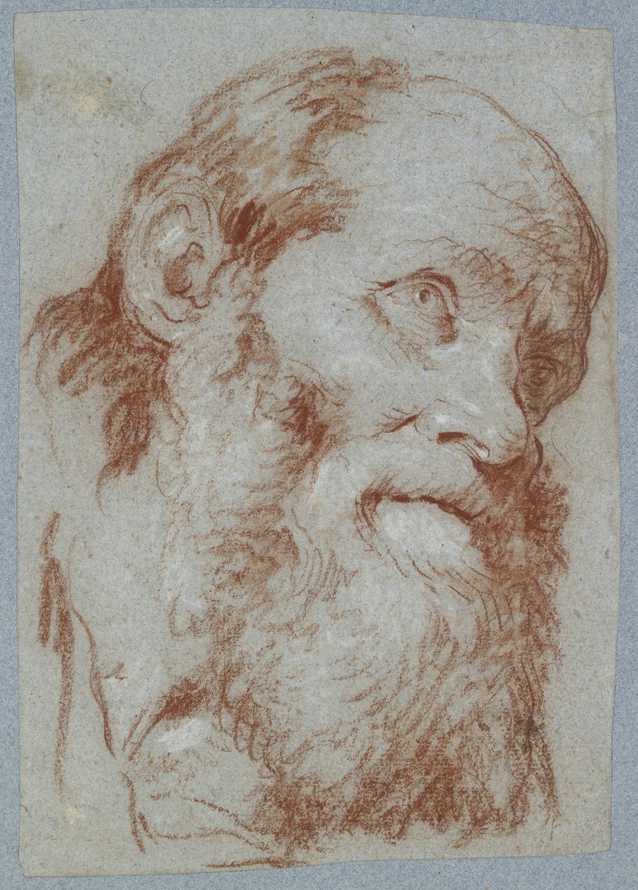 Yaşlı sakallı bir adamın başı (solmuş gri-mavi kağıt üzerinde beyaza dokunan kırmızı tebeşir) by Giovanni Battista Tiepolo