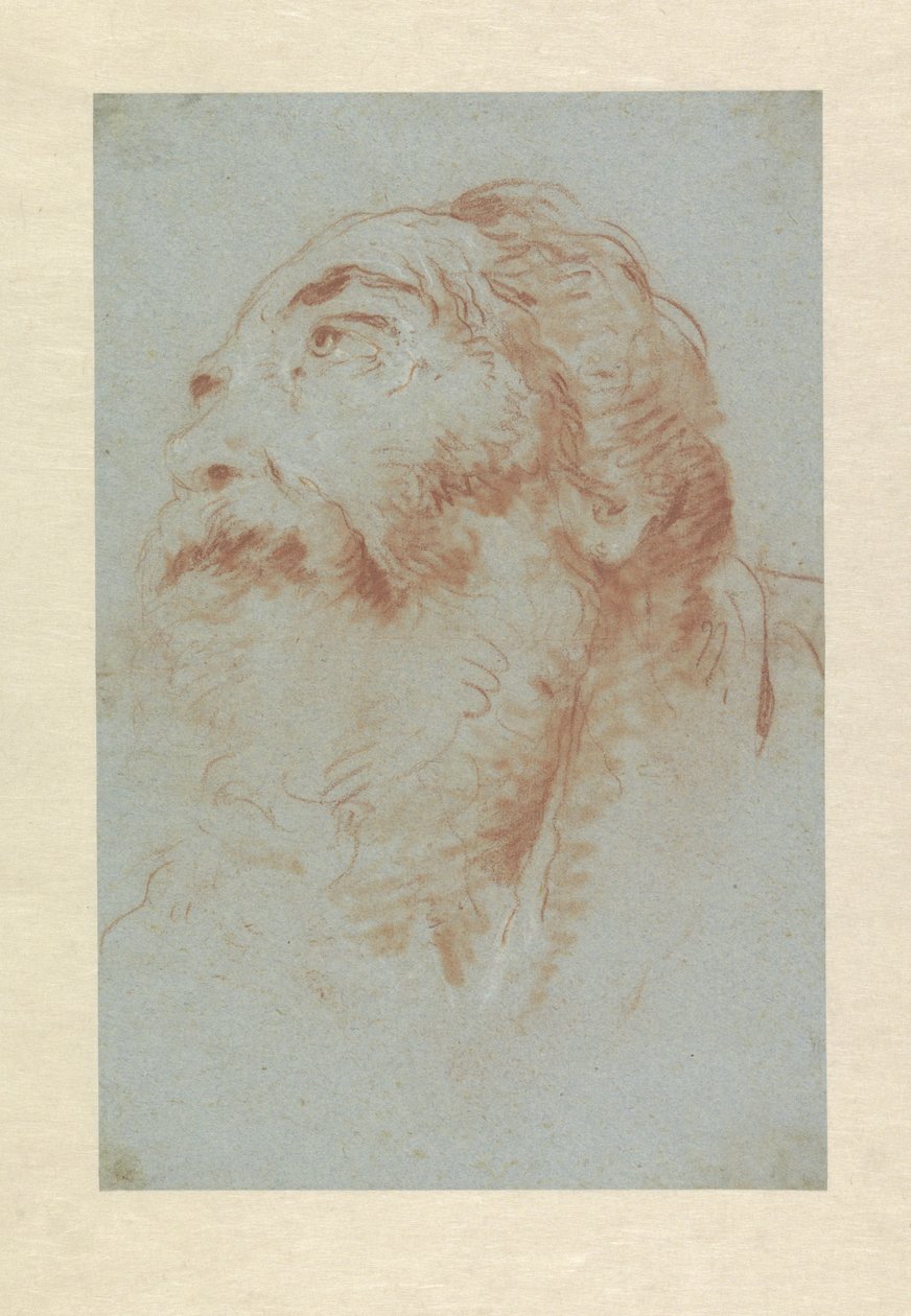 Yaşlı bir adamın başı by Giovanni Battista Tiepolo