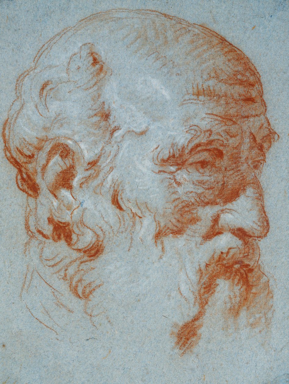 Soldan Görülen Giulio Contarini Büstünün İncelenmesi by Giovanni Battista Tiepolo