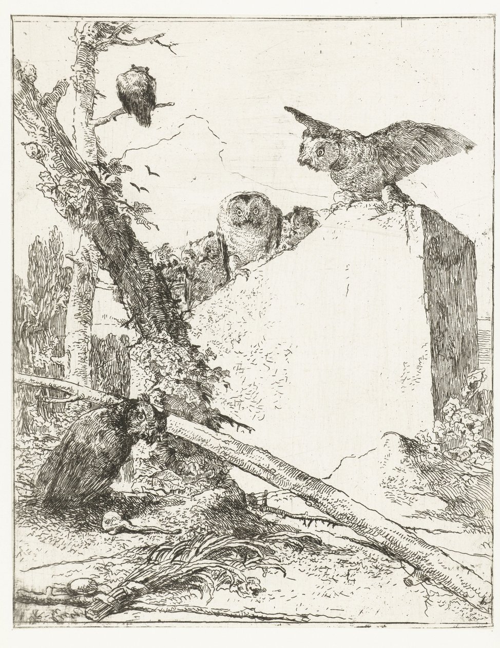 Bir taş tarafından baykuşlar ile Scherzi di fantasia için başlık baskısı Scherzi di fantasia (dizi adı) by Giovanni Battista Tiepolo