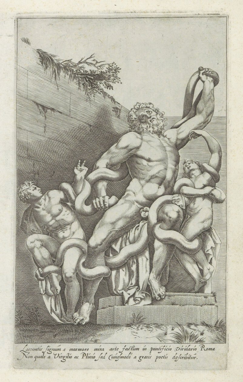 Laocoöngroep Lacoon