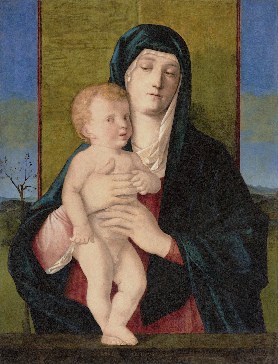  by Giovanni Bellini