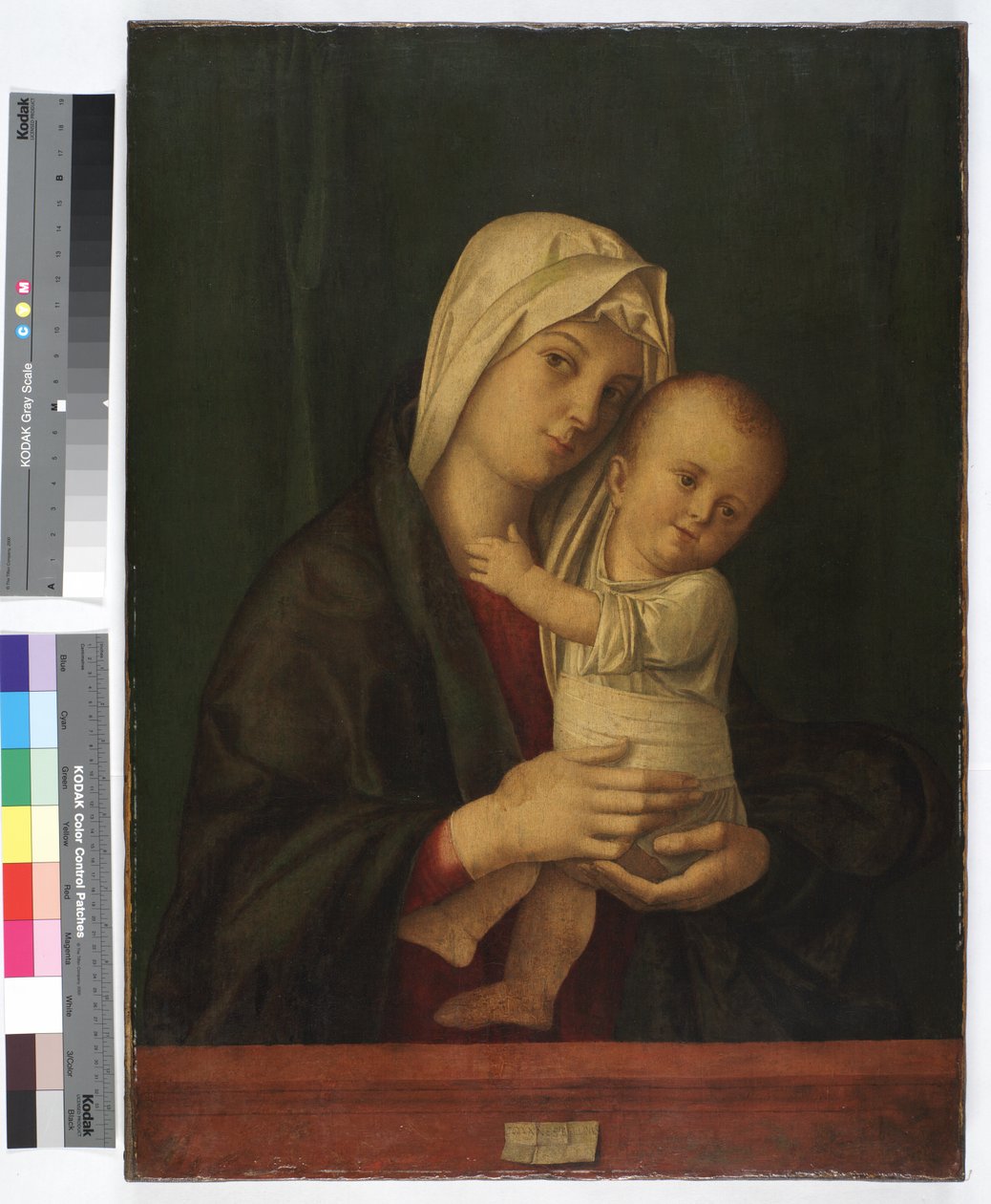 Madonna ve Çocuk, c.1489 (tuval üzerine yağlı boya) by Giovanni Bellini
