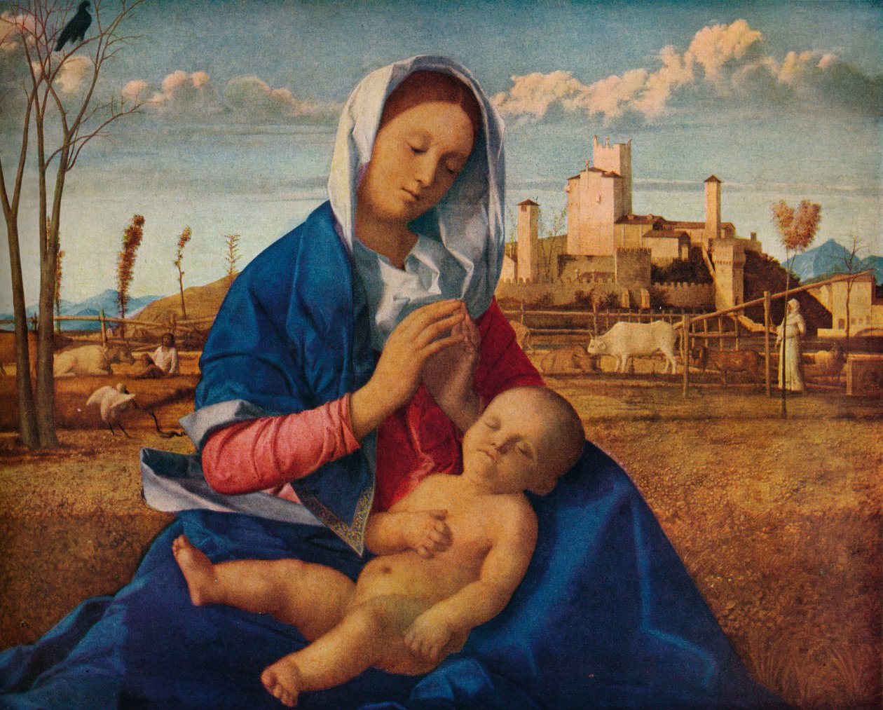 Çayırın Madonna