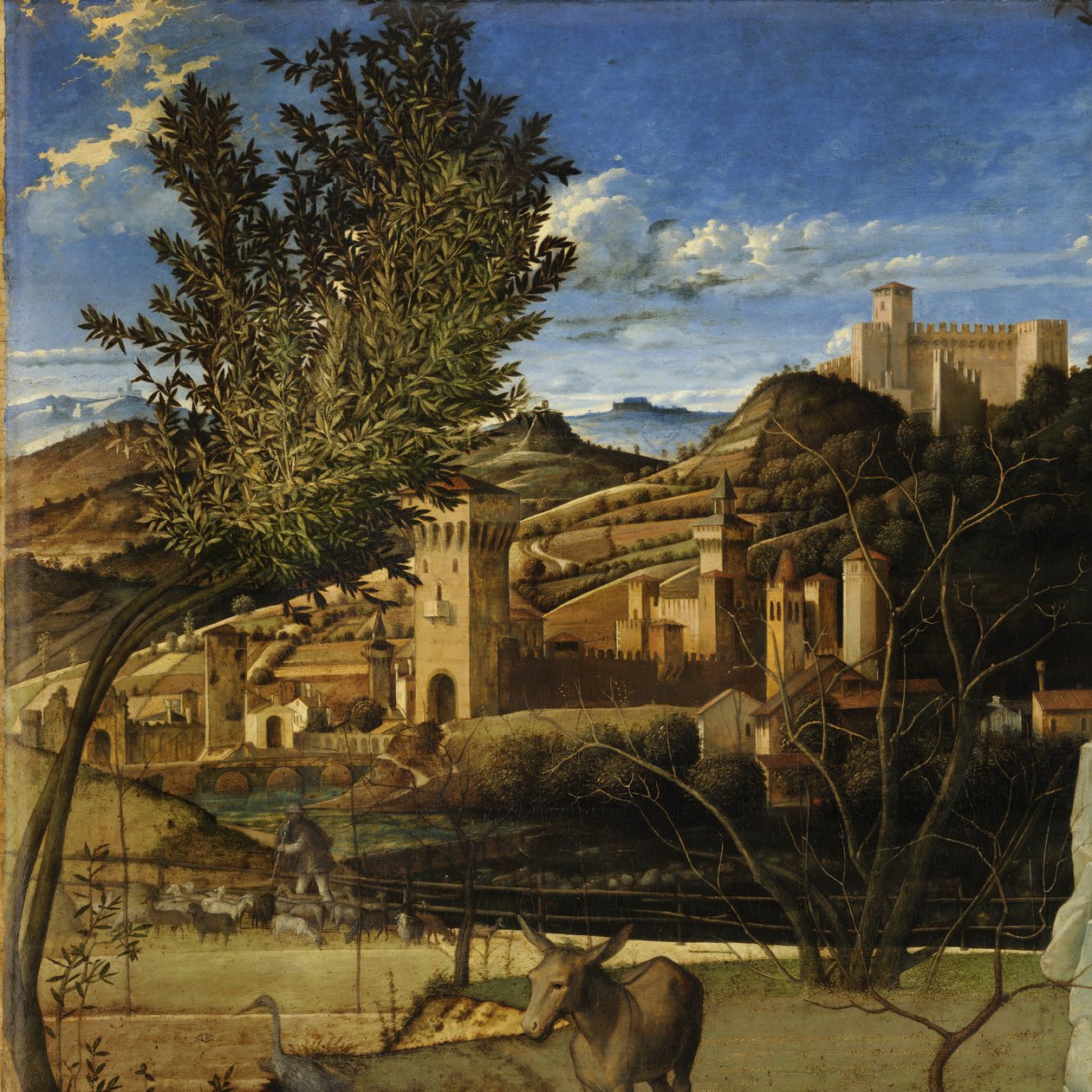 by Giovanni Bellini