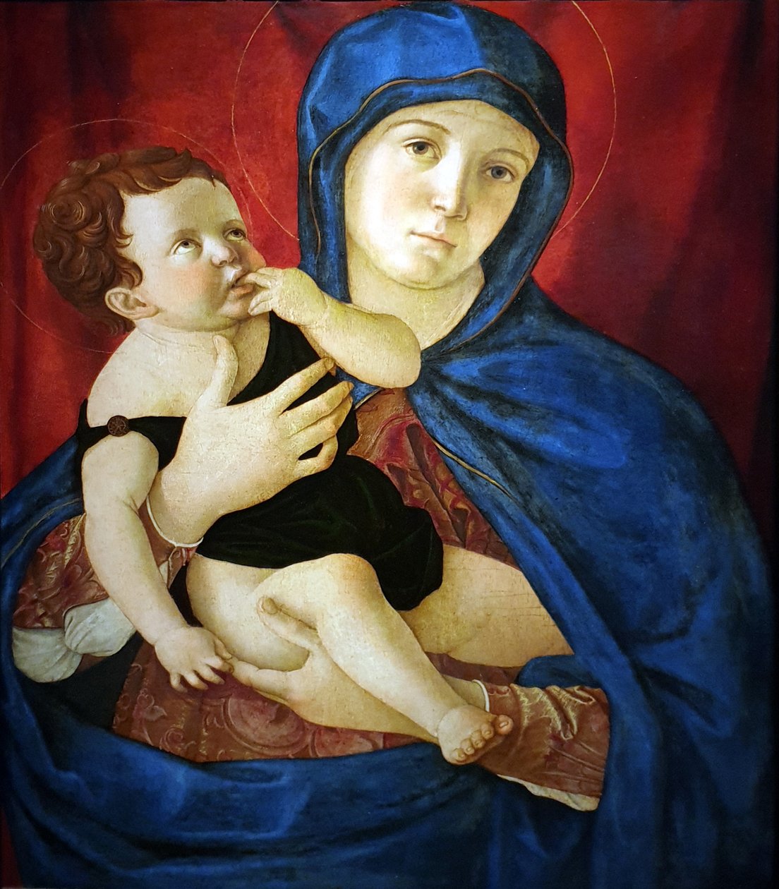  by Giovanni Bellini