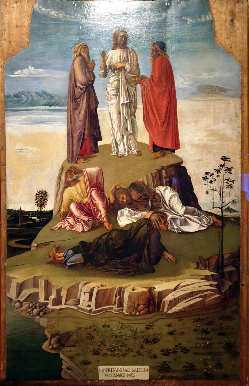  by Giovanni Bellini