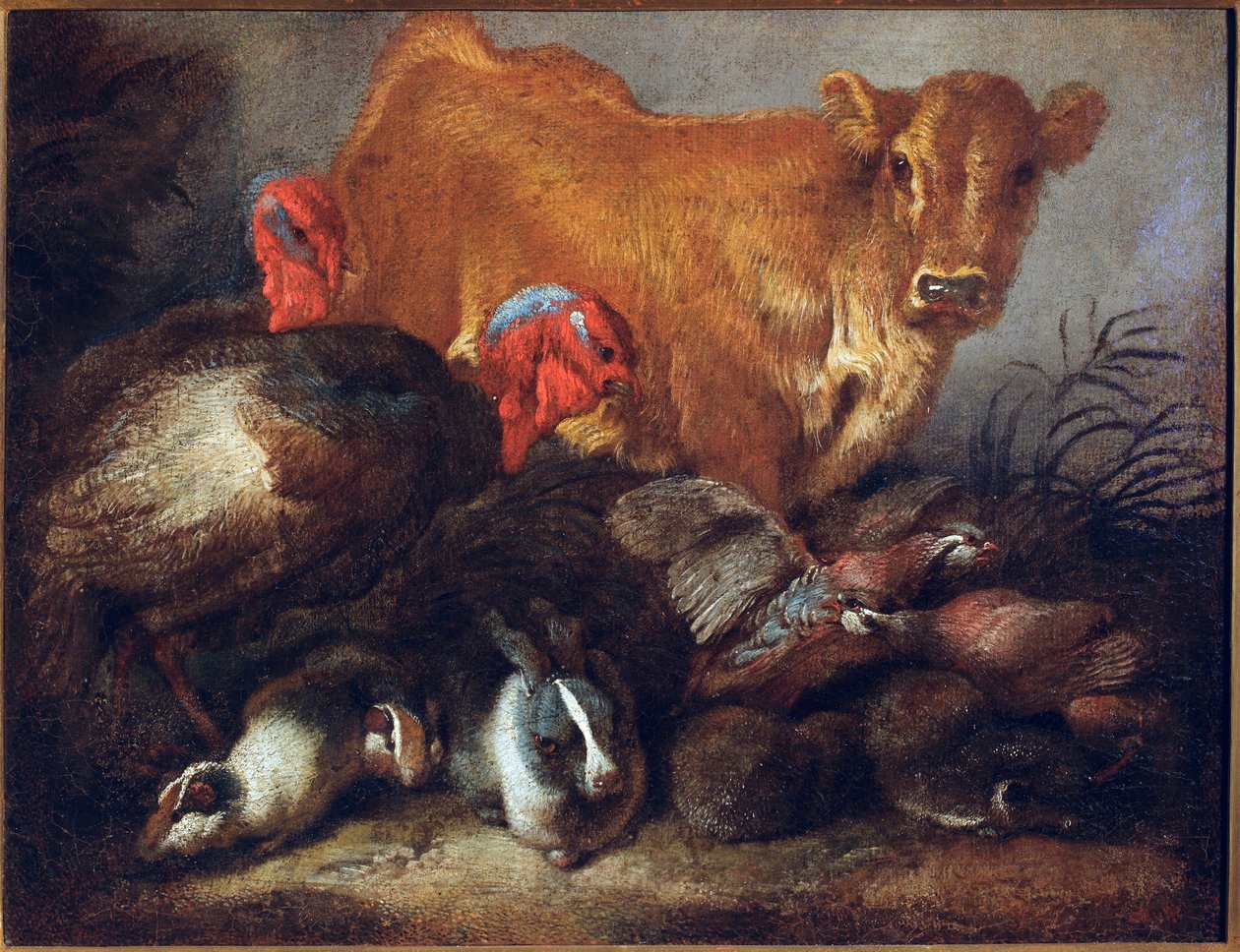 Hayvanlar üzerinde çalışma İnek, hindi, tavşan, Tablo Giovanni Benedetto Castiglione dit il Grechetto (1610-1665) Dim.30x38.5 cm Genler, Musei di Strada Nuova by Giovanni Benedetto Castiglione