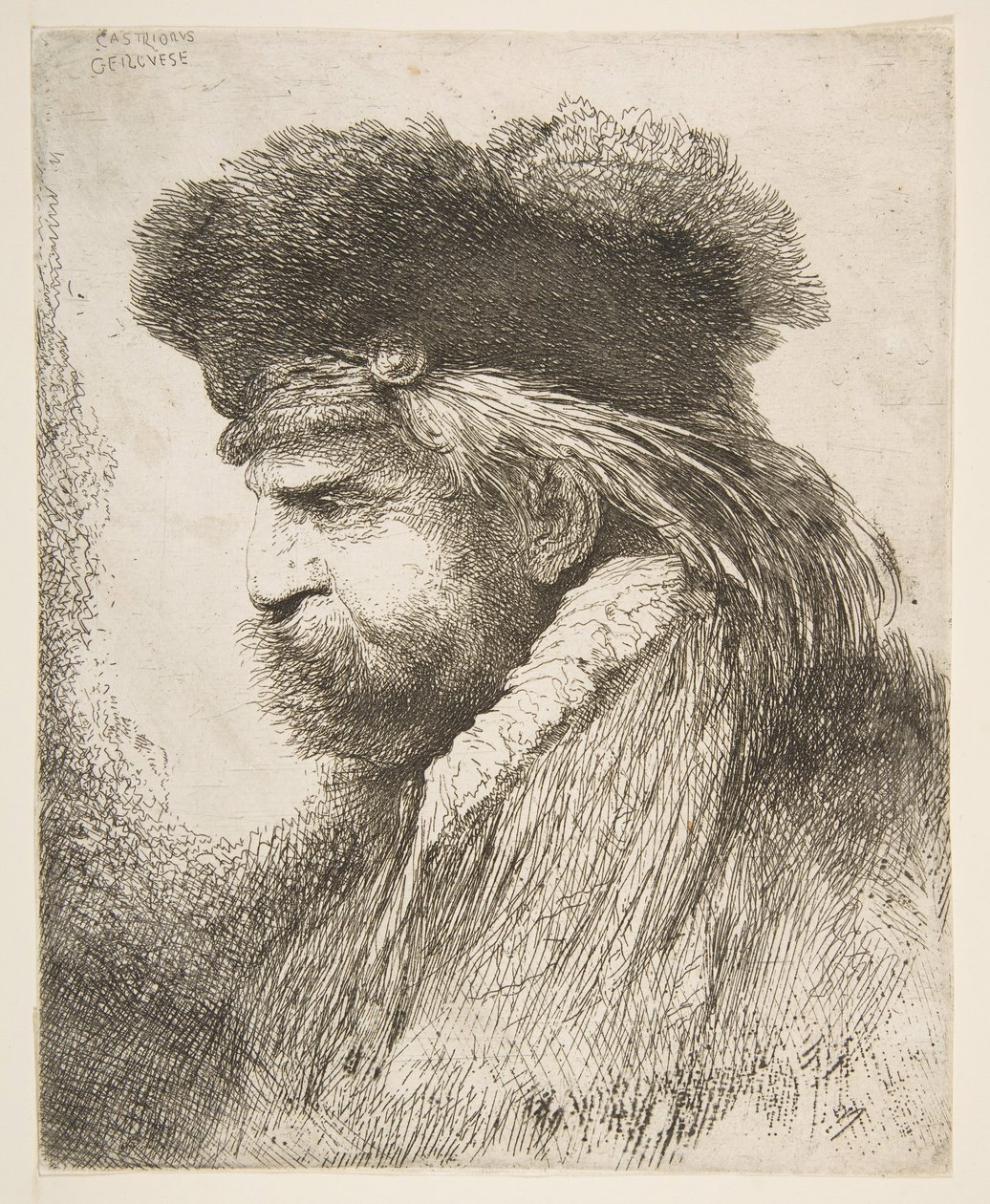 Büyük Doğu Başları serisinden sola bakan yaşlı bir adamın başı, yaklaşık. 1645-50. by Giovanni Benedetto Castiglione