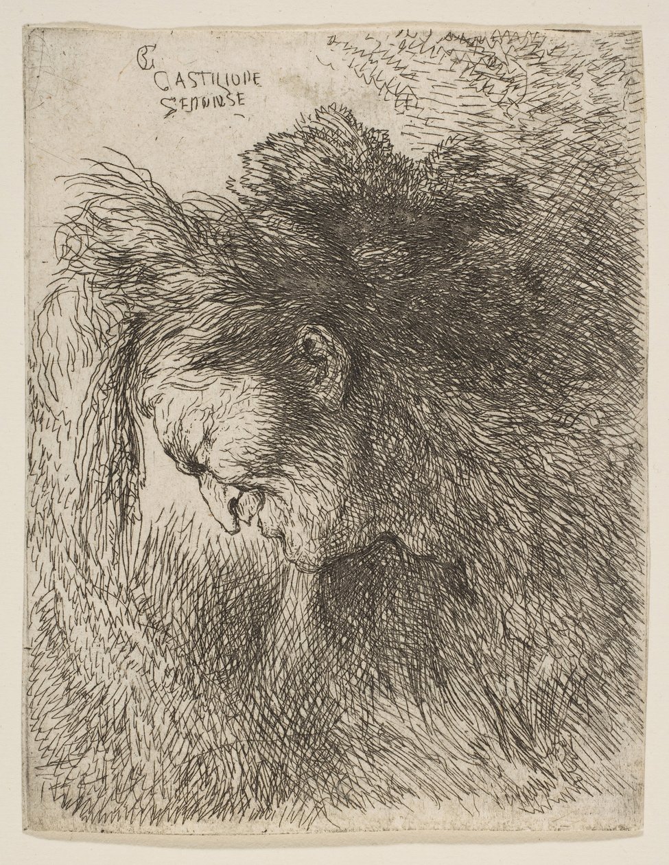 Küçük Başlar serisinden aşağı bakan, sola bakan yaşlı bir adamın başı ..., ca. 1645-1650. by Giovanni Benedetto Castiglione