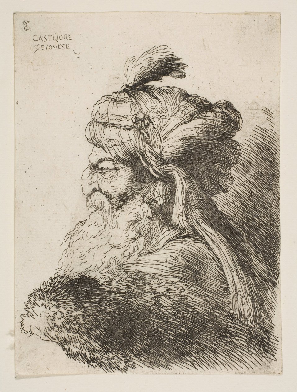 Sola bakan türbanlı yaşlı bir adamın başı, Küçük Başlar dizisinden ..., yaklaşık. 1645-1650. by Giovanni Benedetto Castiglione