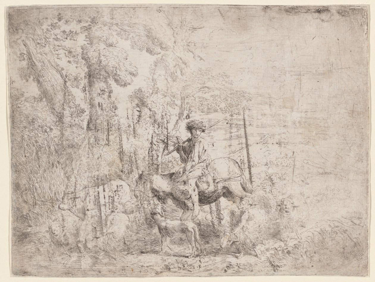 At sırtında genç çoban by Giovanni Benedetto Castiglione