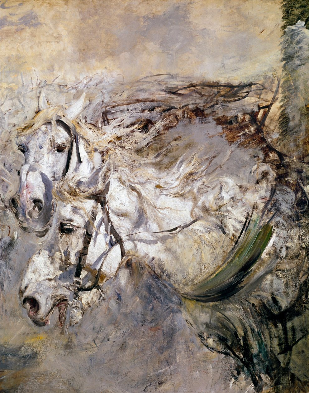 İki Beyaz At Tablosu Giovanni Boldini (1842-1931) 1874 Dim. 153x122 cm Pistoia, Boldini Koleksiyonu by Giovanni Boldini