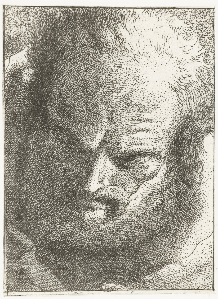 Aşağı bakan adam Kafa koleksiyonu (dizi başlığı) Raccolta di Teste (dizi başlığı) by Giovanni Domenico Tiepolo