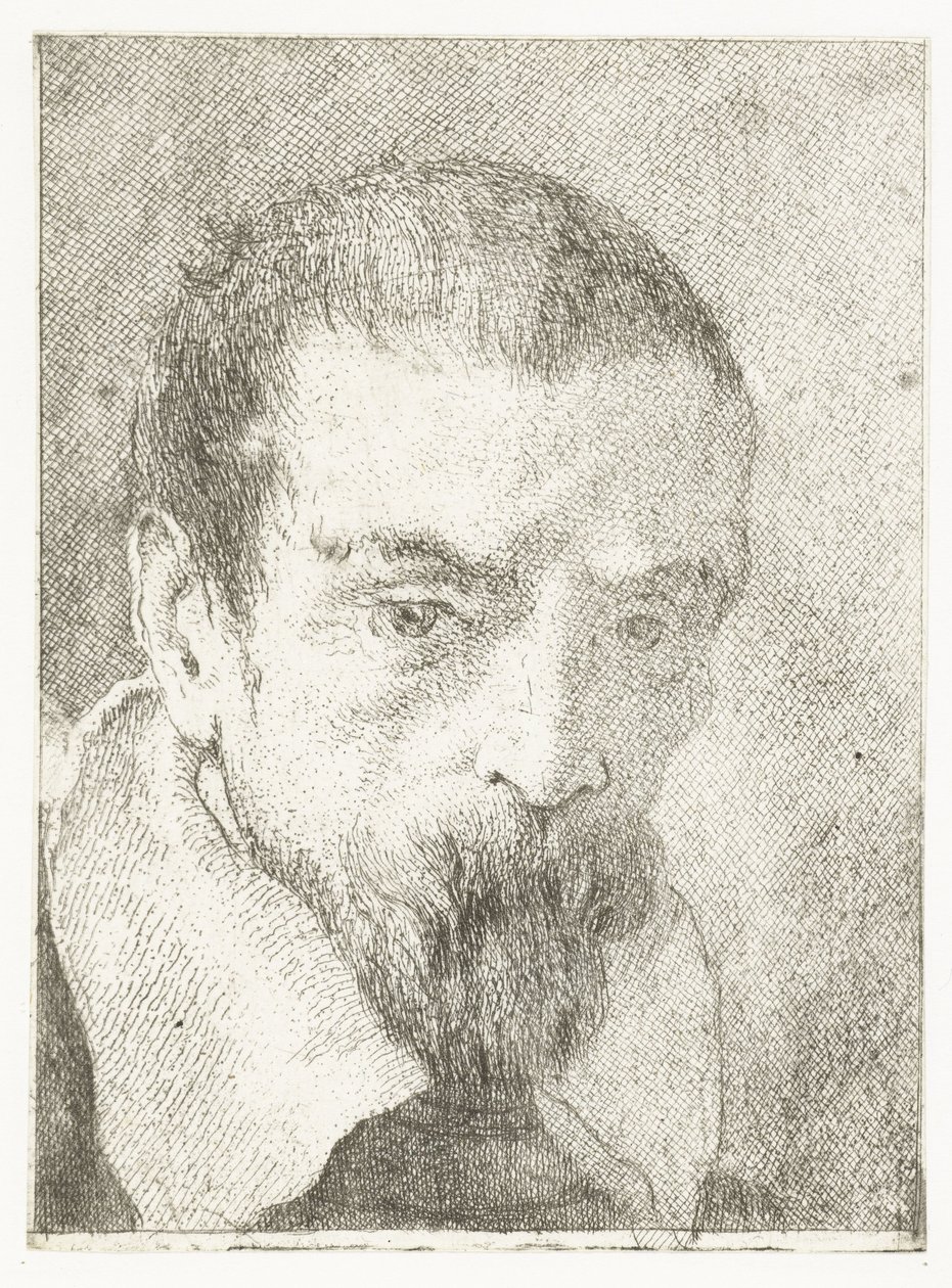 Başlıksız küçük sakallı adam Kafaların toplanması (dizi başlığı) Raccolta di Teste (dizi adı) by Giovanni Domenico Tiepolo