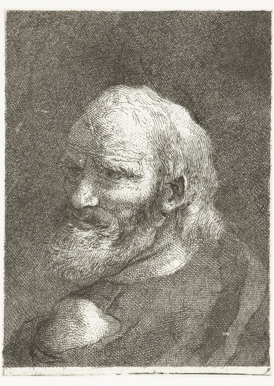 Çıplak omuzlu adam Kafaların toplanması (dizi başlığı) Raccolta di Teste (dizi adı) by Giovanni Domenico Tiepolo