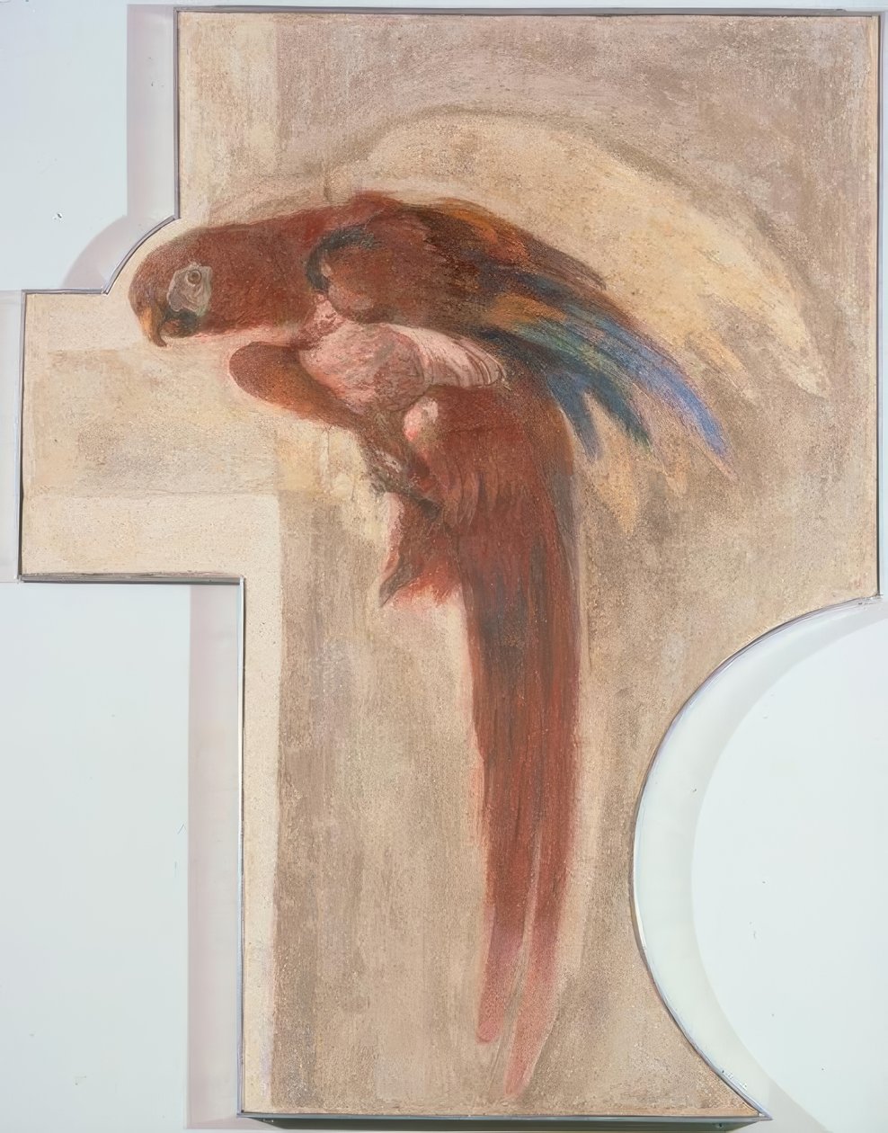 papağan by Giovanni Domenico Tiepolo