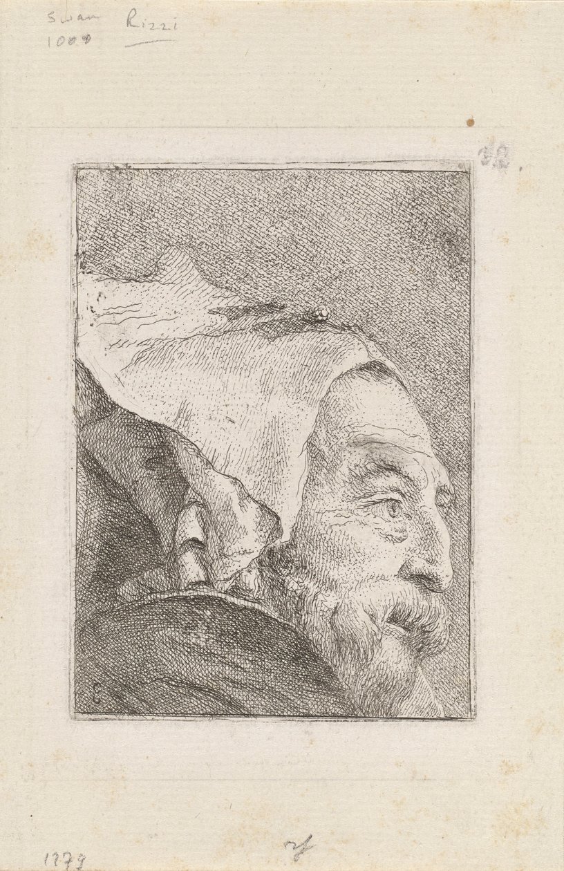 Raccolta di Teste