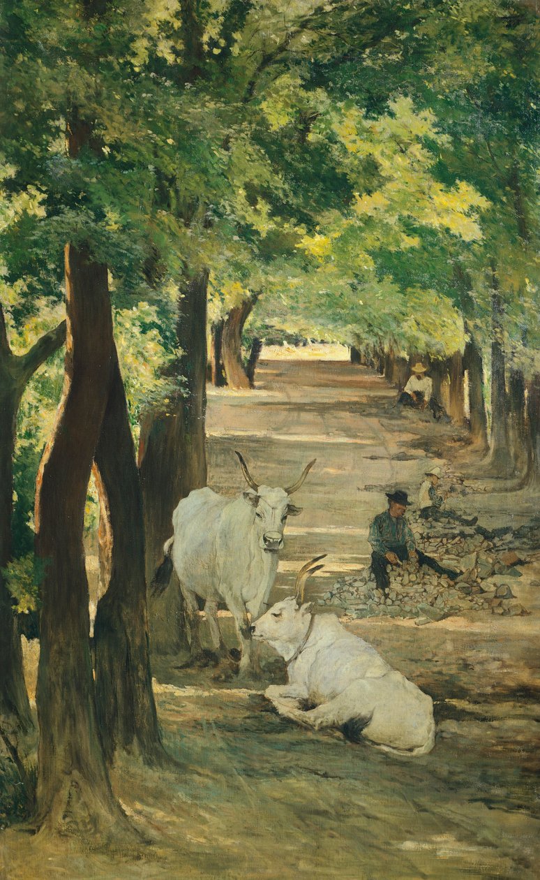 Öküzlü ve Taşkıranlı Cadde, Giovanni Fattori (1825-1908) by Giovanni Fattori