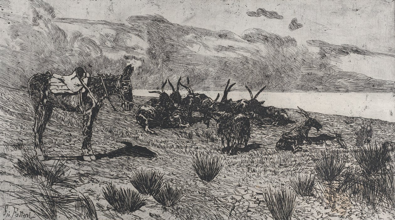 Eşek ve keçiler kışın deniz kıyısında, 1884-1908. by Giovanni Fattori