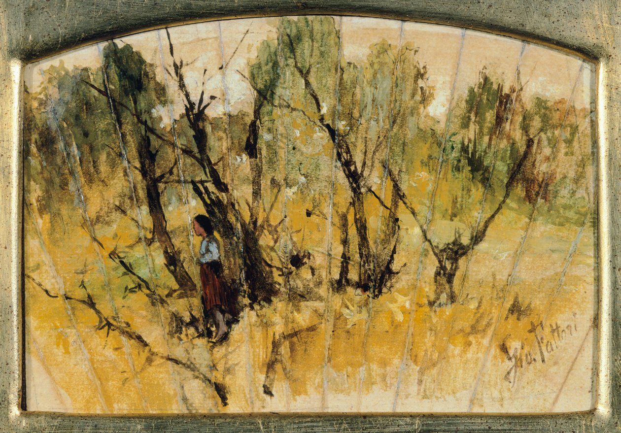 Figürlü Orman, Yelpazenin Çalışması, Giovanni Fattori, tuval üzerine kağıt üzerine yağlı boya by Giovanni Fattori