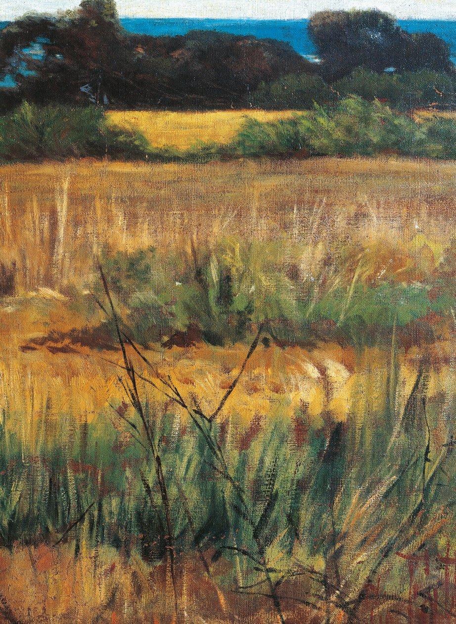 İtalya, Floransa, Maremma Toscana, yaklaşık 1894, detay by Giovanni Fattori