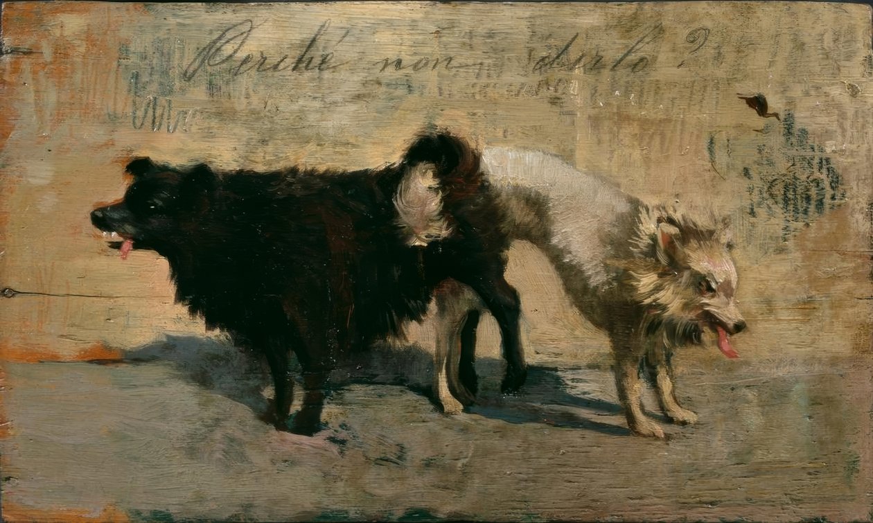 Neden söylemiyorsun? by Giovanni Fattori
