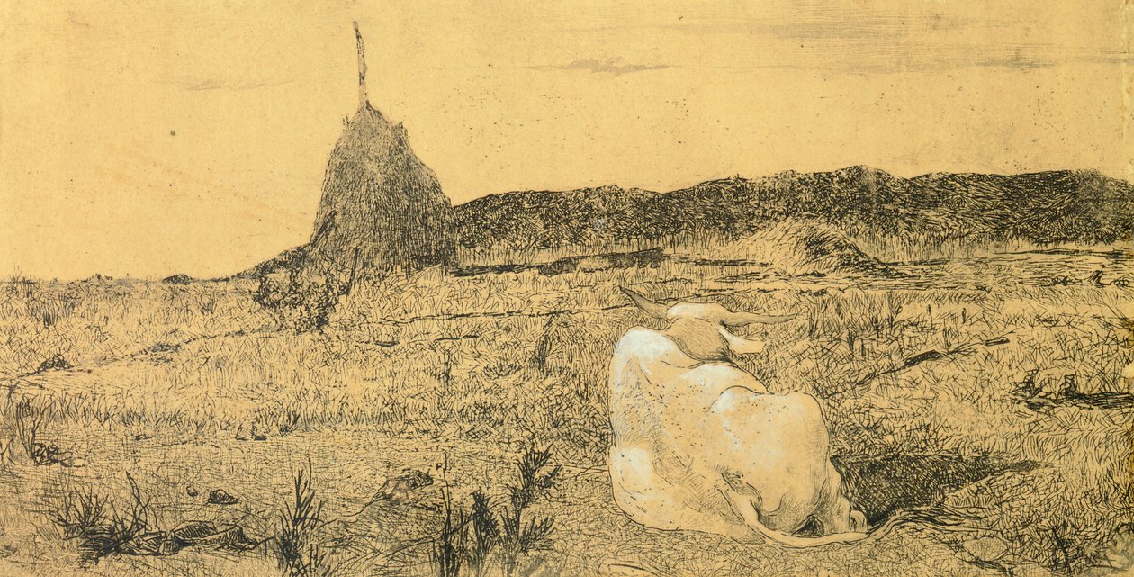 Pio Bove (Dindar veya Barışçıl Öküz), Giovanni Fattori (1825-1908), gravür by Giovanni Fattori