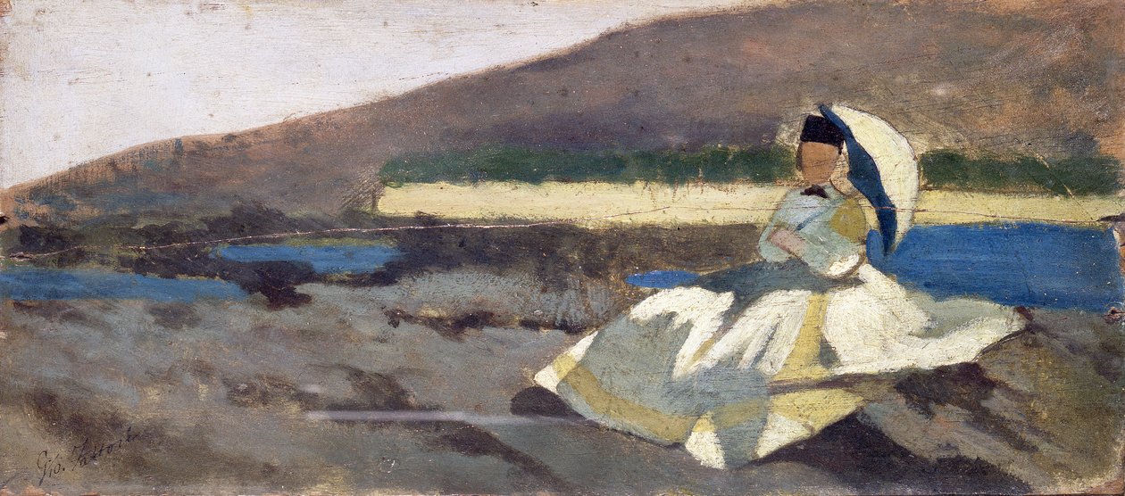 Peyzajda oturan bayan by Giovanni Fattori