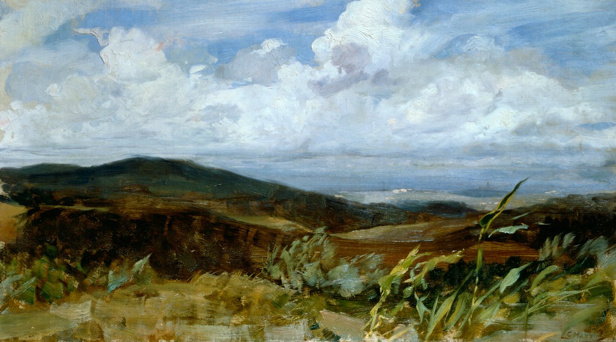 Manzara Giovanni Muzzioli (1854-1894), tuval üzerine yağlı boya, 39x68 cm by Giovanni Muzzioli