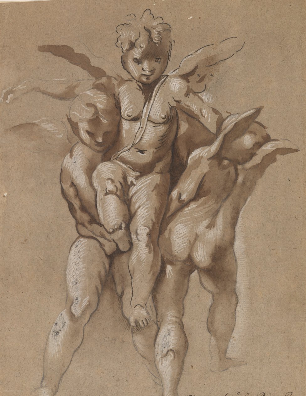 Üçüncü Putti Taşıyan İki Putti (rekto); Kadrolu Bir Gençlik (versi) by Giovanni Pietro Possenti