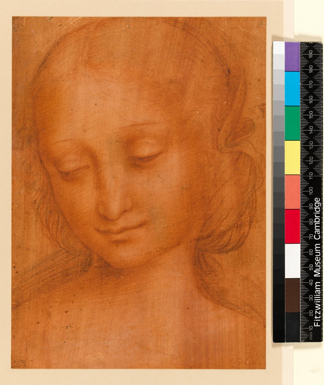 Kadın başı (kağıt üzerine tebeşir) by Giovanni Pietro Rizzoli Giampietrino