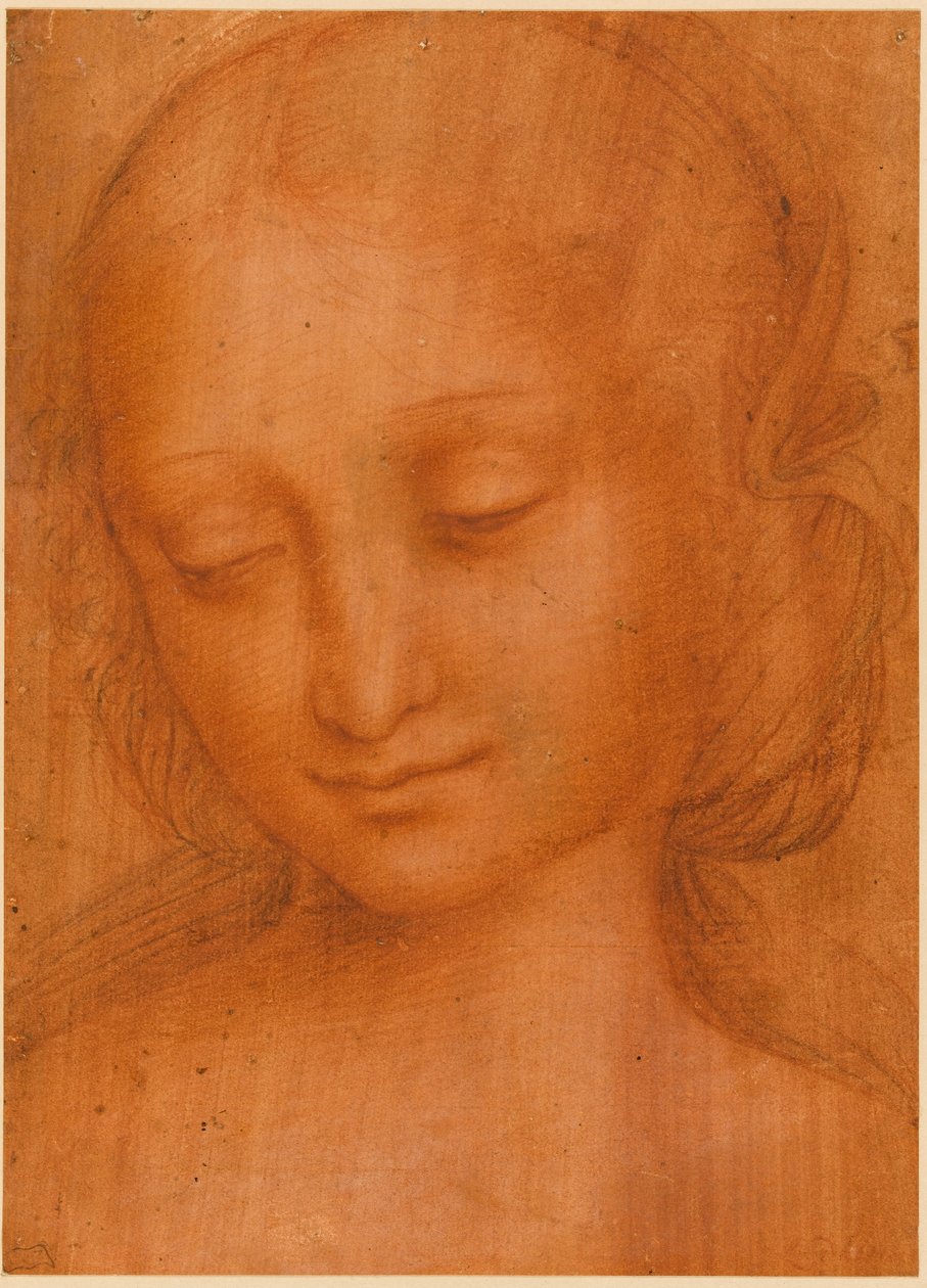 Bir kadın başı by Giovanni Pietro Rizzoli Giampietrino