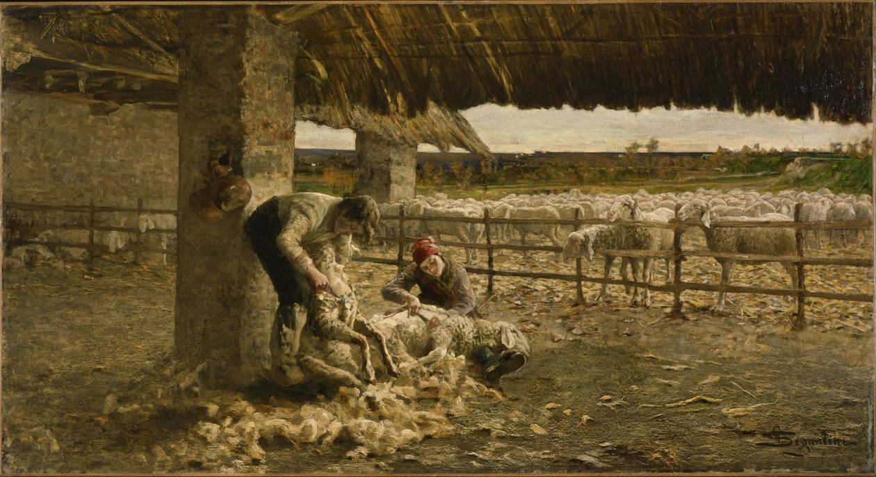 Koyun Kırkımı, 1883-1884 by Giovanni Segantini