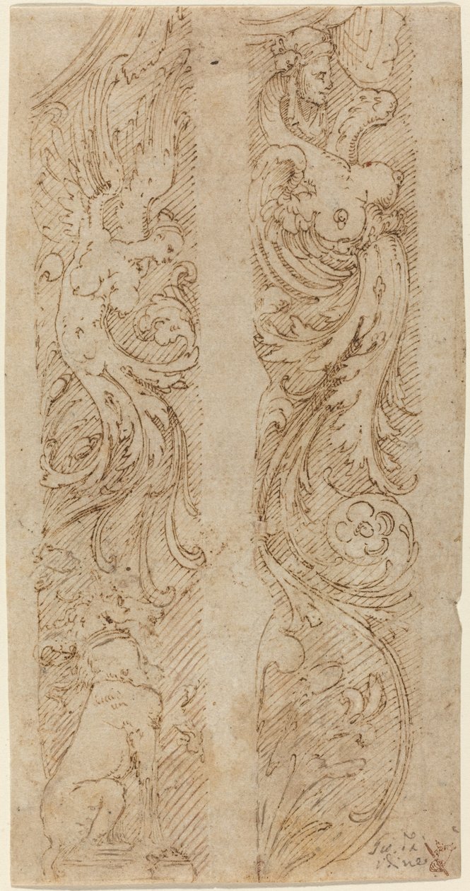 Duvar Panelleri İçin Grotesk Süslemeler by Giovanni da Udine