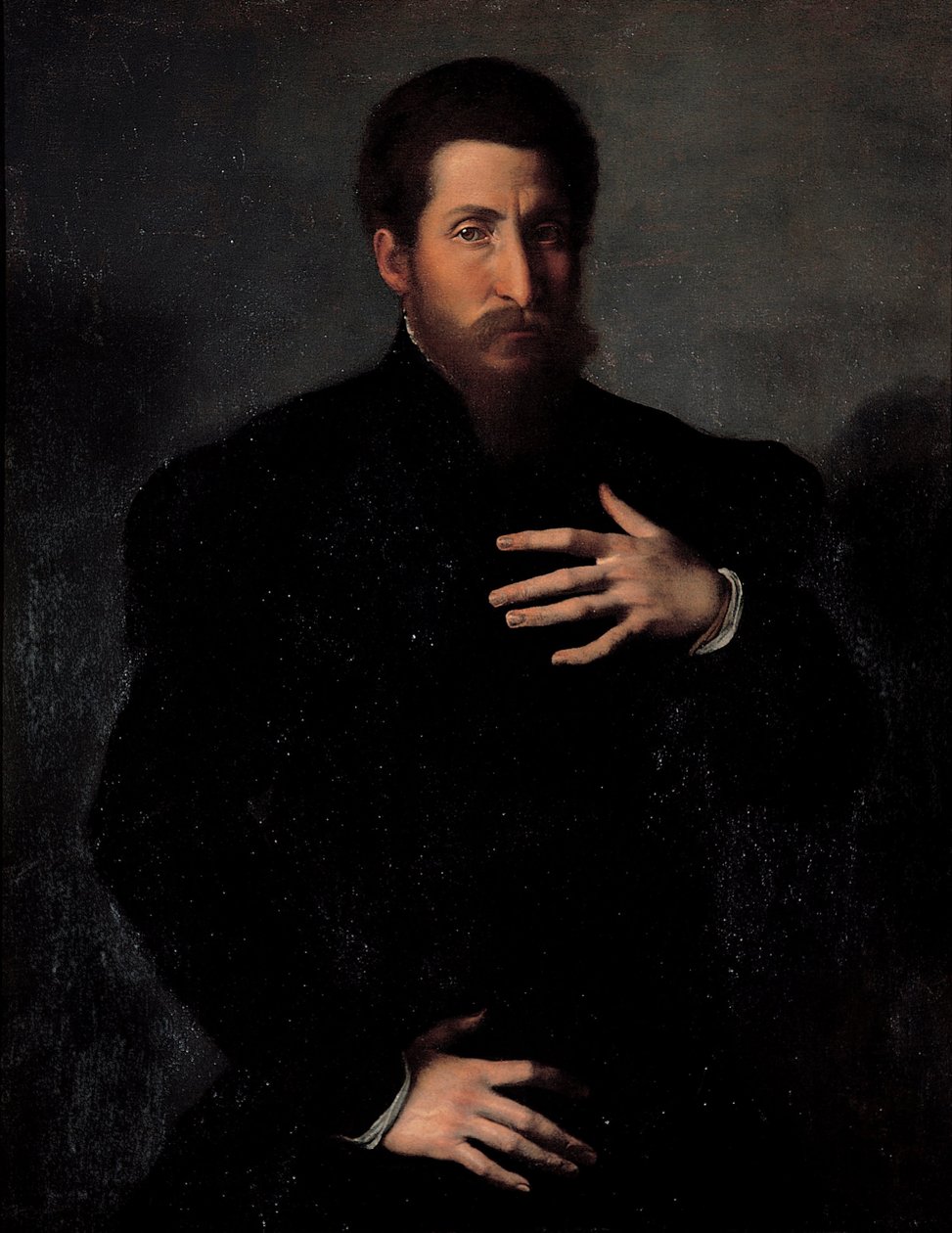 Erkeksi bir adamın portresi by Girolamo da Carpi