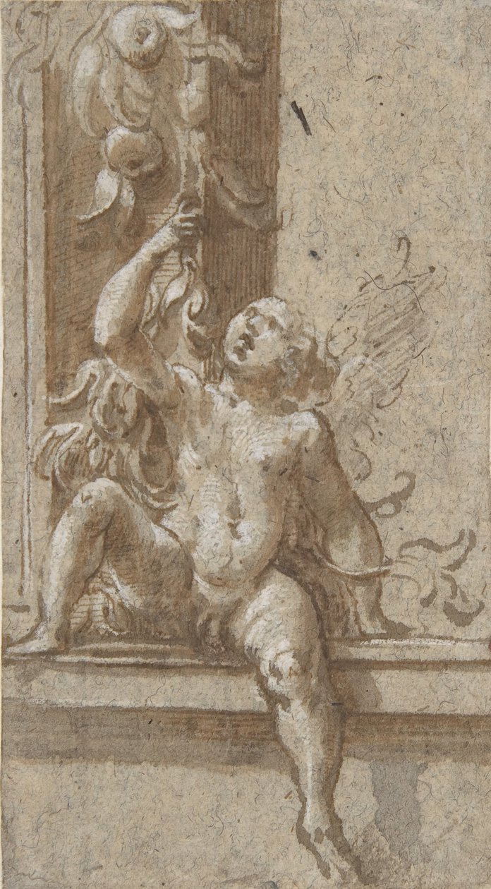 Bir Çerçeveye Oturmuş Bir Putto, ca. 1538-40. by Girolamo Mazzola Bedoli